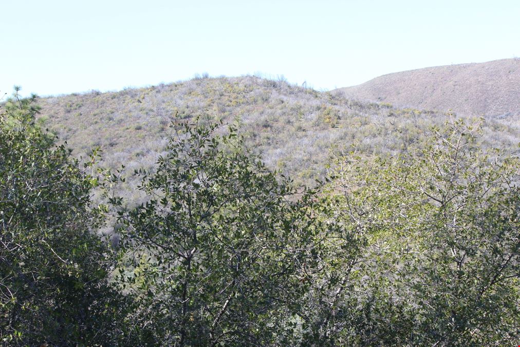San Andreas View Property