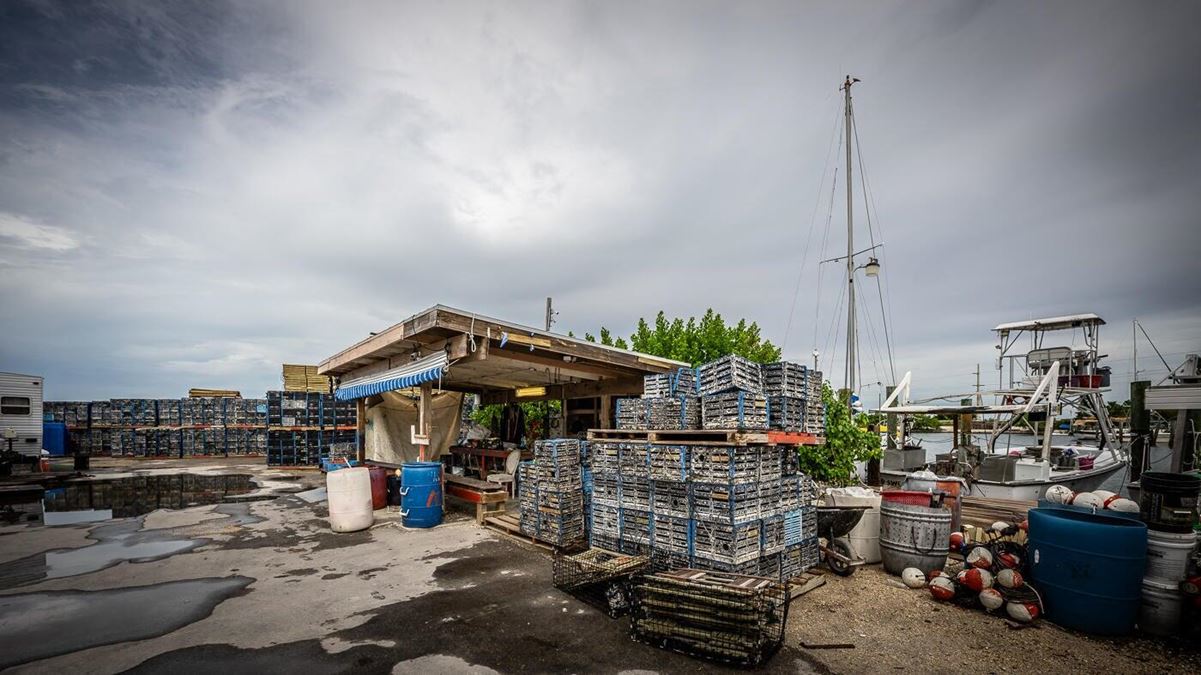 15 Seaview Ave