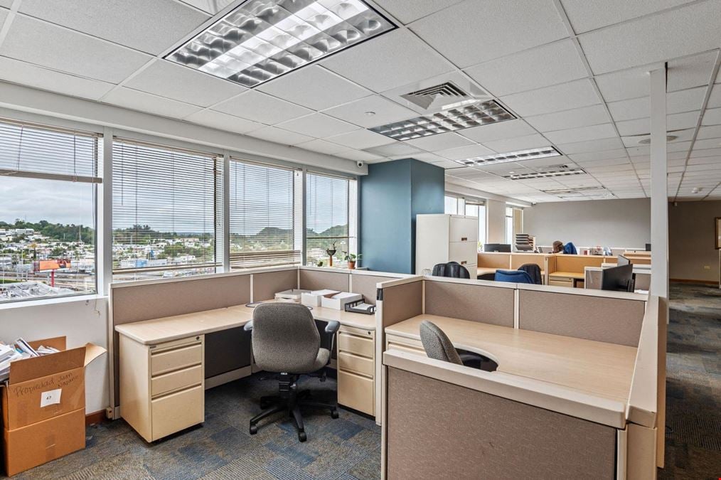 Triple S Building - 8th Floor