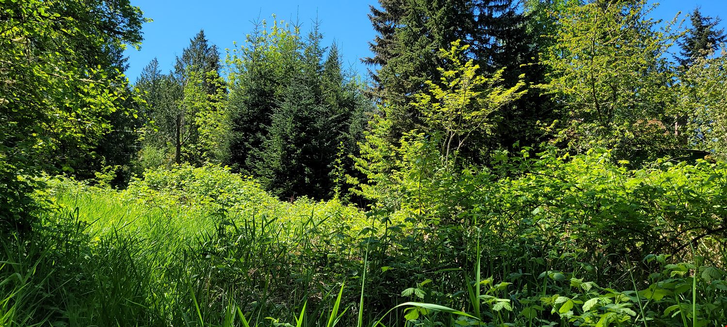 8.38 Acres Residential Development Land