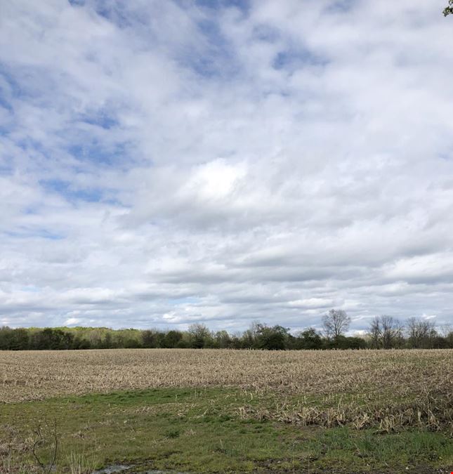 Development Opportunity - 71 Acres - Delta Township 