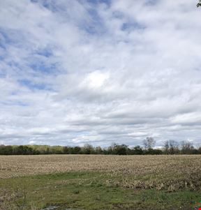 Development Opportunity - 71 Acres - Delta Township 