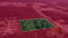 Development Opportunity