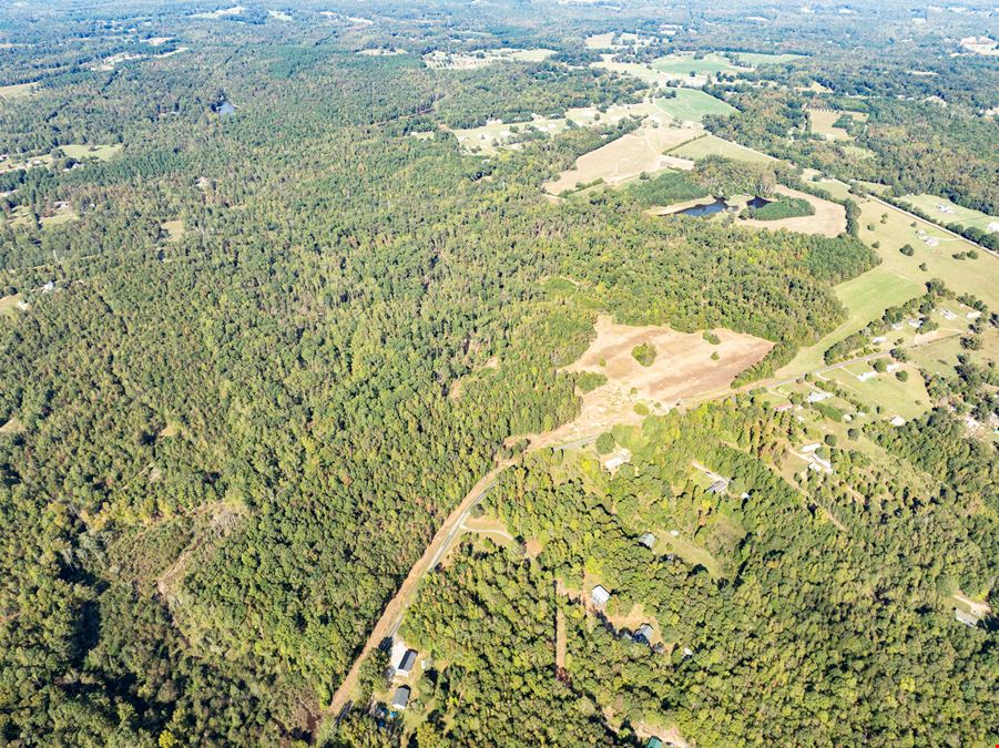 Chapman Branch Farms