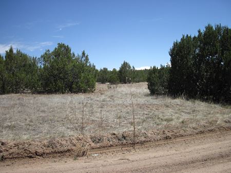 Preview of VacantLand space for Sale at 110 Jesse James Rd