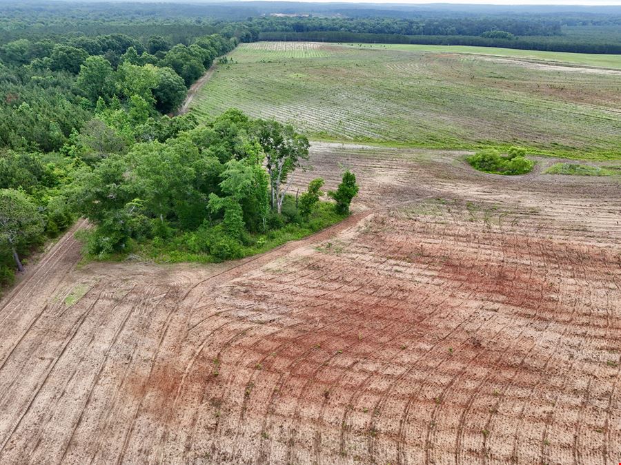County Line Pasture Land