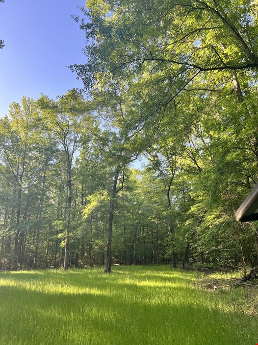Mt. Willing Reserve