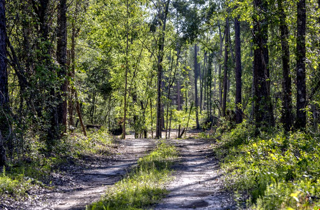 Raccoon Creek Hunting & Timber