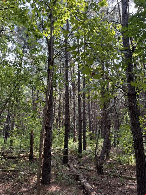 Big Fourche Hunting, Fishing & Timber