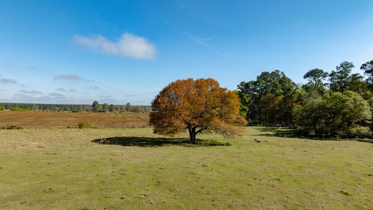 Lost Farm