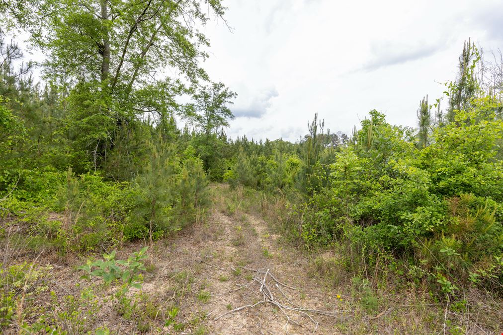 Buck Creek Hunting Property
