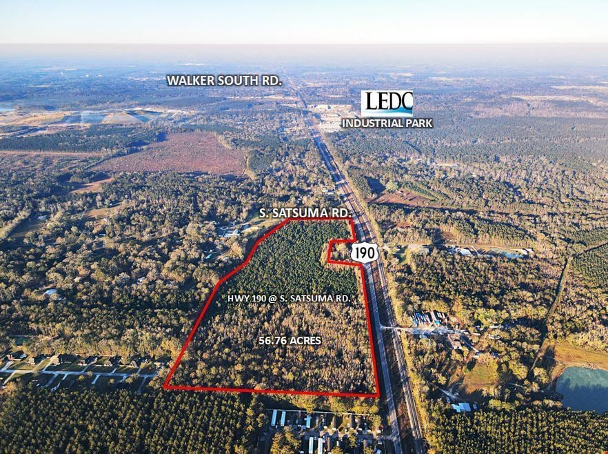 Hwy 190 at Satsuma Rd with Access to I-12- 56.76 Acres For Sale