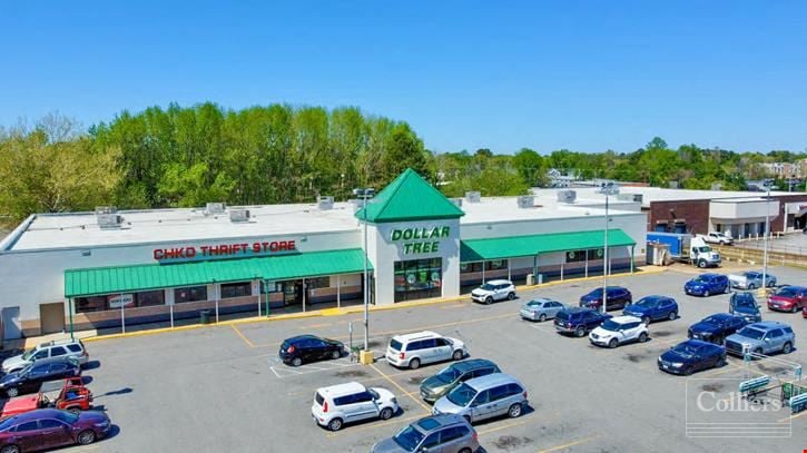 New Offering | Castle Shops | Anchored by Top-Ranked Dollar Tree | Chesapeake, VA