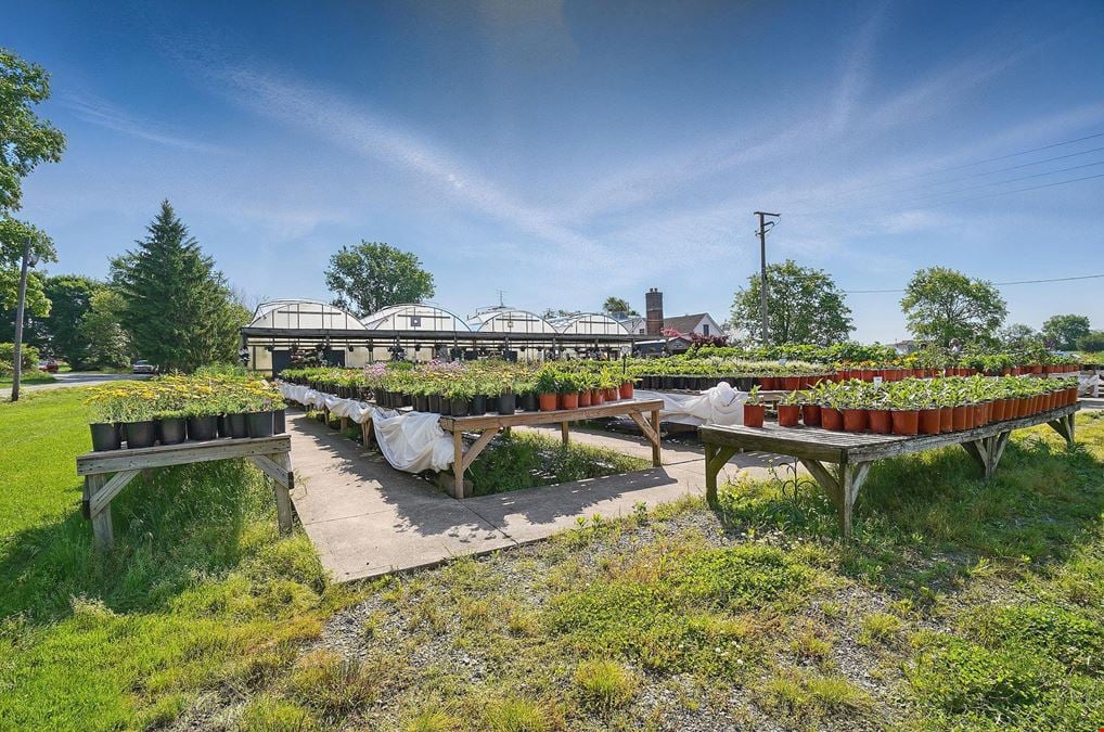 Robin's Nursery & Greenhouse