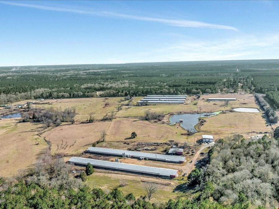 Breeder Farm In Marshall