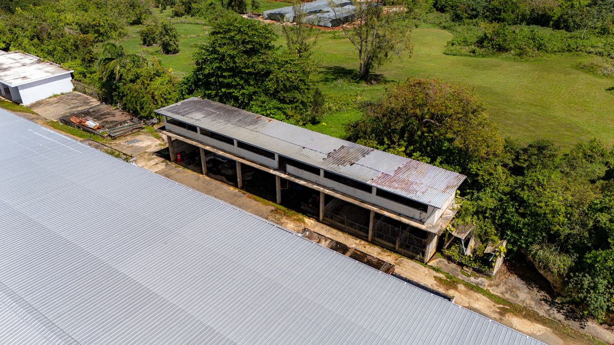 Isabela Industrial Warehouse - FOR LEASE