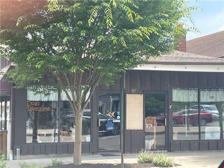 Preview of Retail space for Sale at 87 Main St