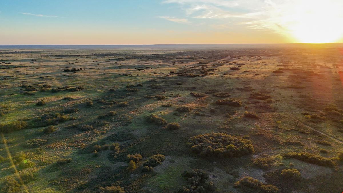 160 Acres in Dickens County