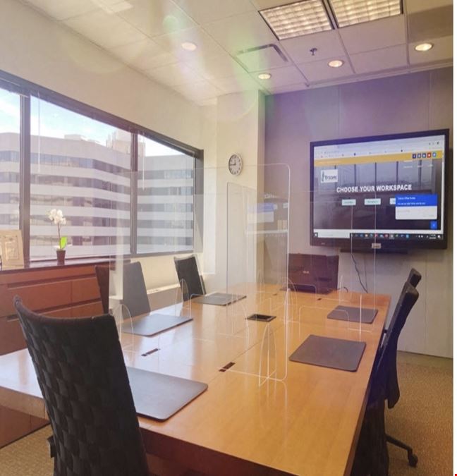 Tysons Office Suites