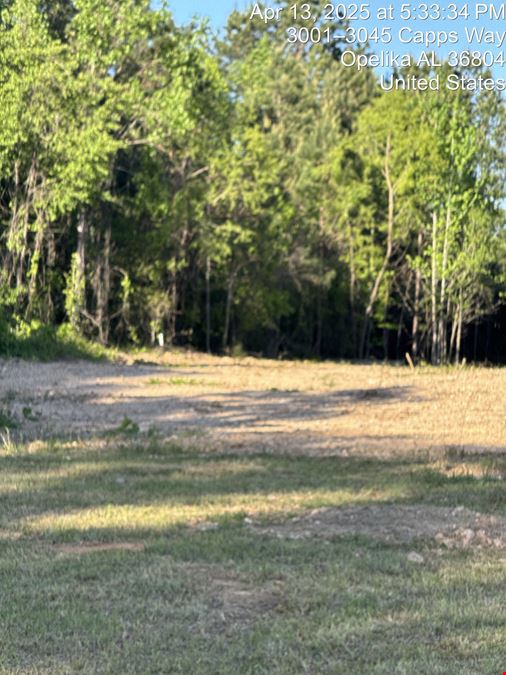 3021 CAPPS WAY, AUBURN AL,EXIT 58,I-85 Retail/ Hotel Development site