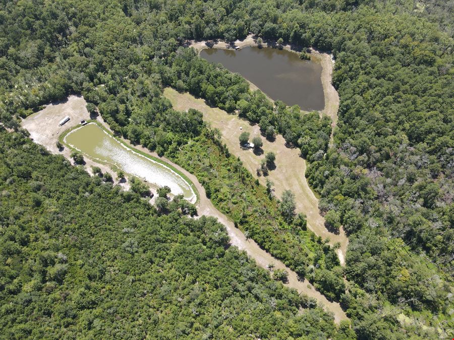 +/- 28.71 Acres For Sale with Access to the Edisto River