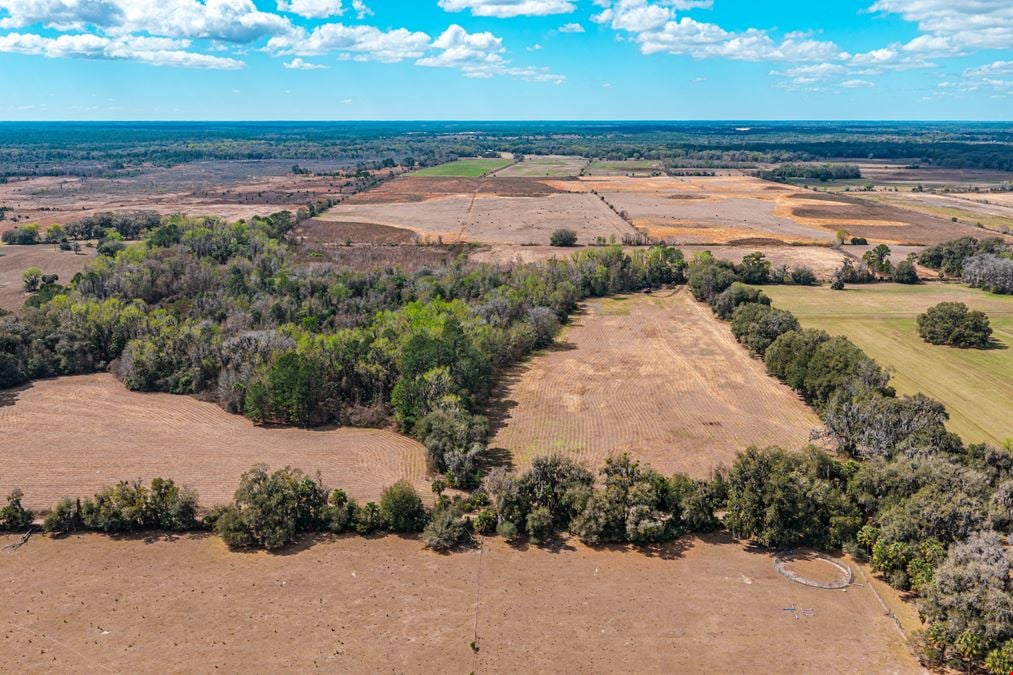 Putnam County Farmland