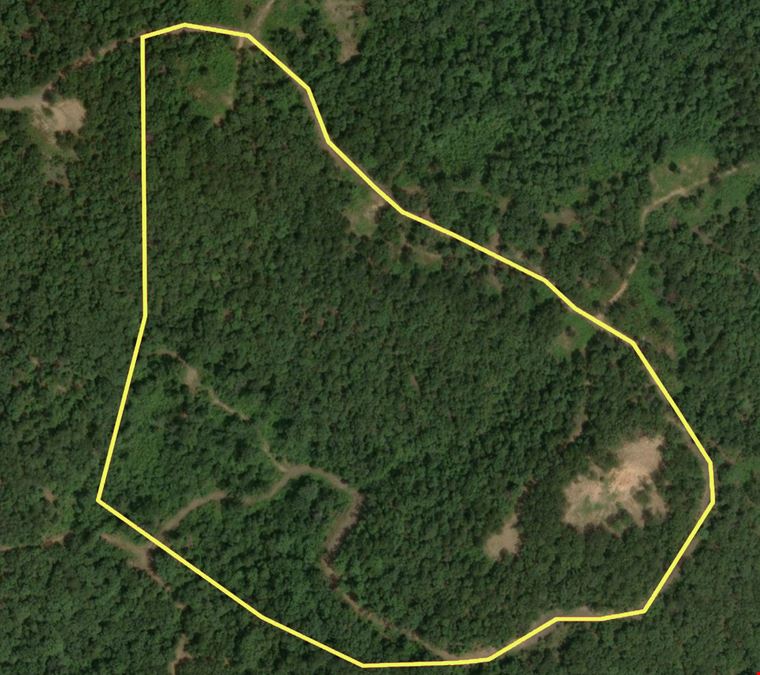 Tater Mountain East