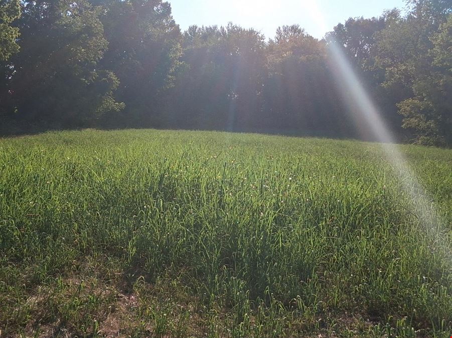 10 Acres of Commercial Land in Neosho, MO