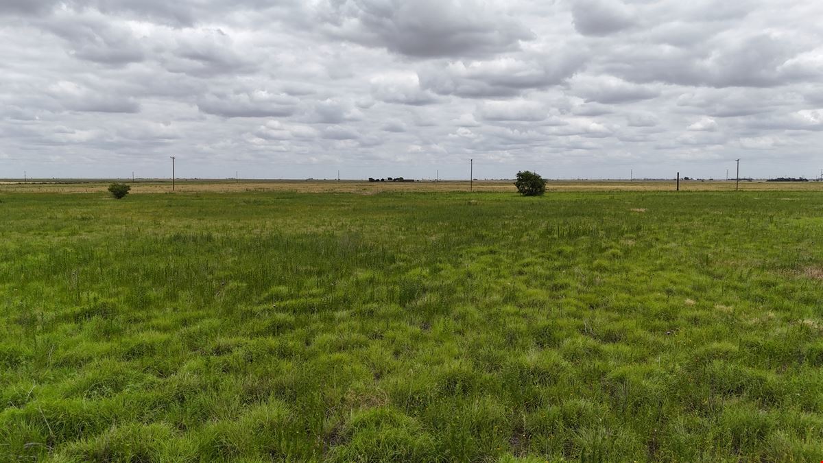 Hale County, 52 Acres