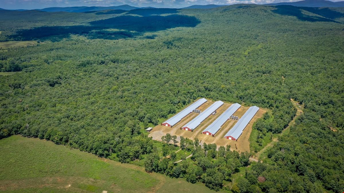 Mena AR Broiler Chicken Farm
