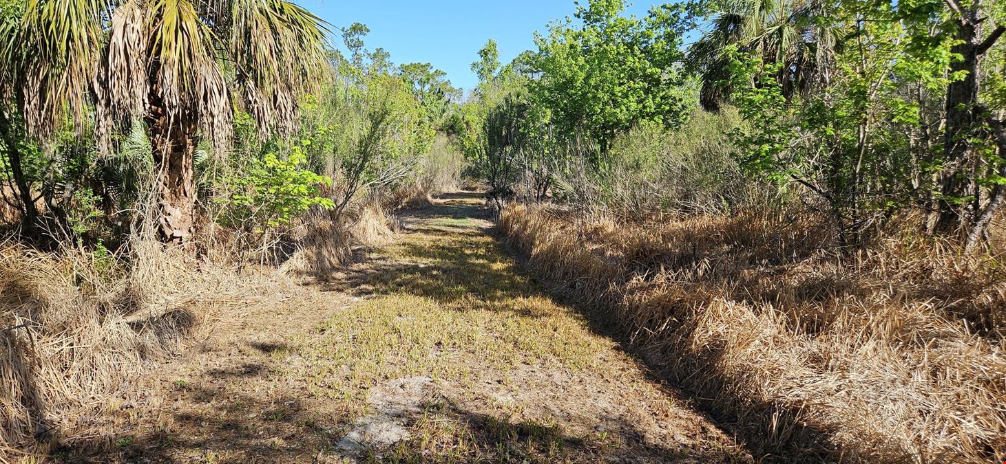 47± Scenic Wooded Acres with Trails, Wildlife, and Lake Access
