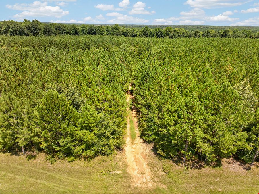 Upper River Woods