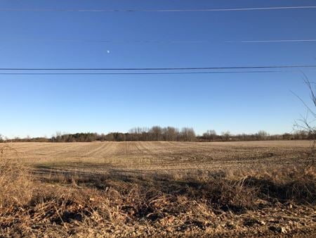 Preview of Unassigned space for Sale at Grove Rd Lansing