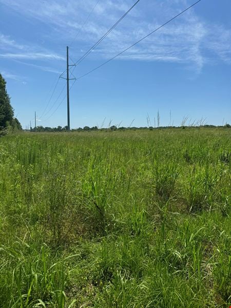 Preview of VacantLand space for Sale at 954 Old Jackson Rd.
