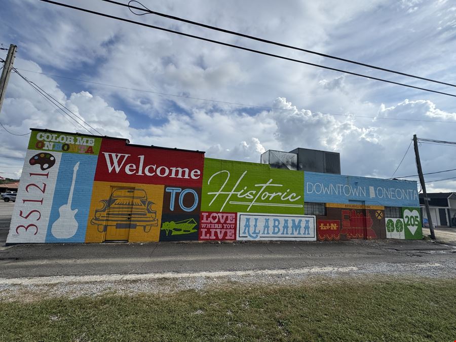 Oneonta Retail Investment