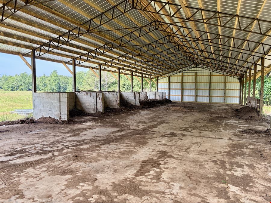South Butler Springs Mini Farm