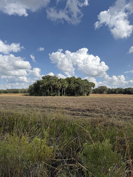 Preview of VacantLand space for Sale at US-441 North