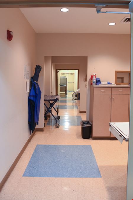 Veterinary Hospital on Veterans Drive