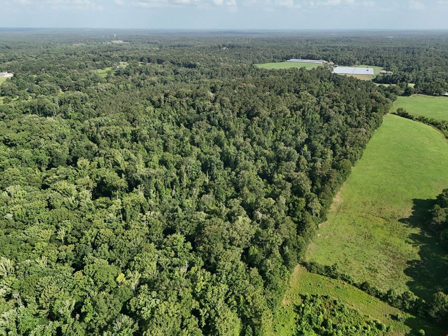 Residential Development Opportunity