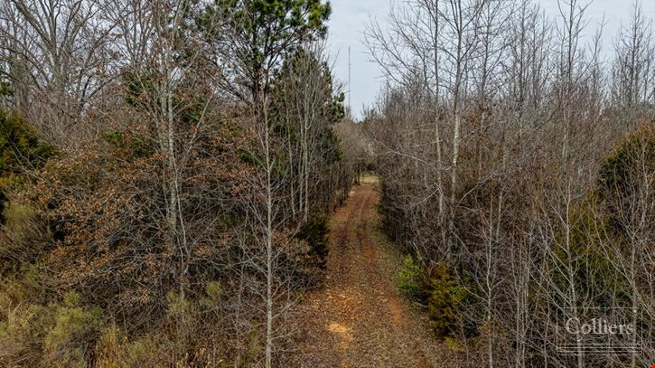 ±53.70-Acre Recreational Tract for Sale in Clinton, SC