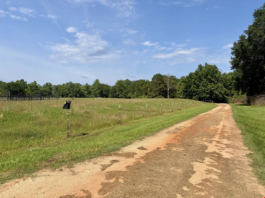 South Butler Springs Mini Farm