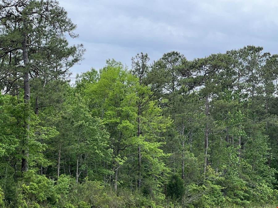 32 Ac Betts Rd
