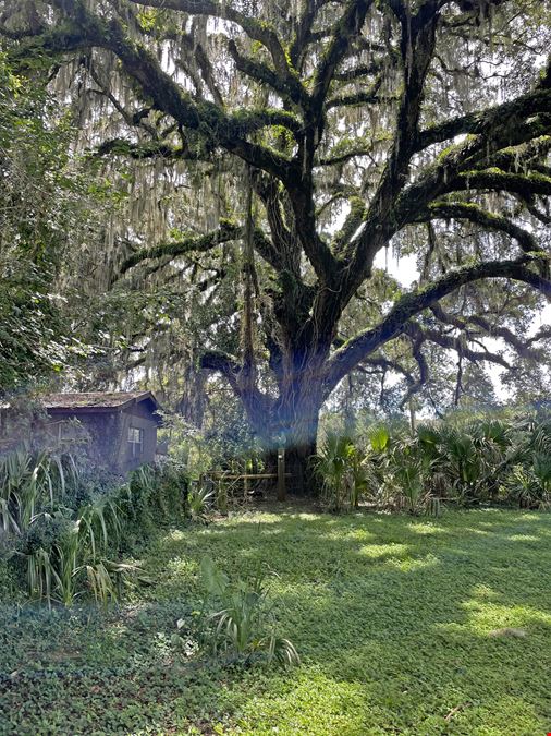 Citrus County Ranch and Recreational Tract