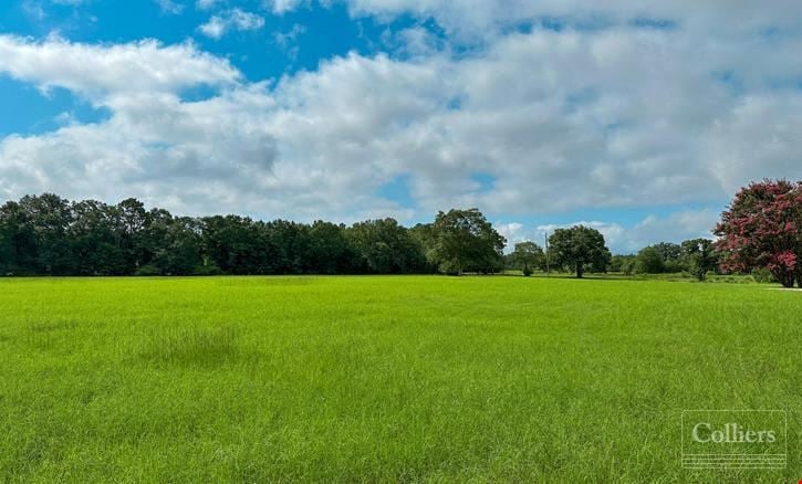 ±18.09 Acres on Barr Lake | Lexington, SC