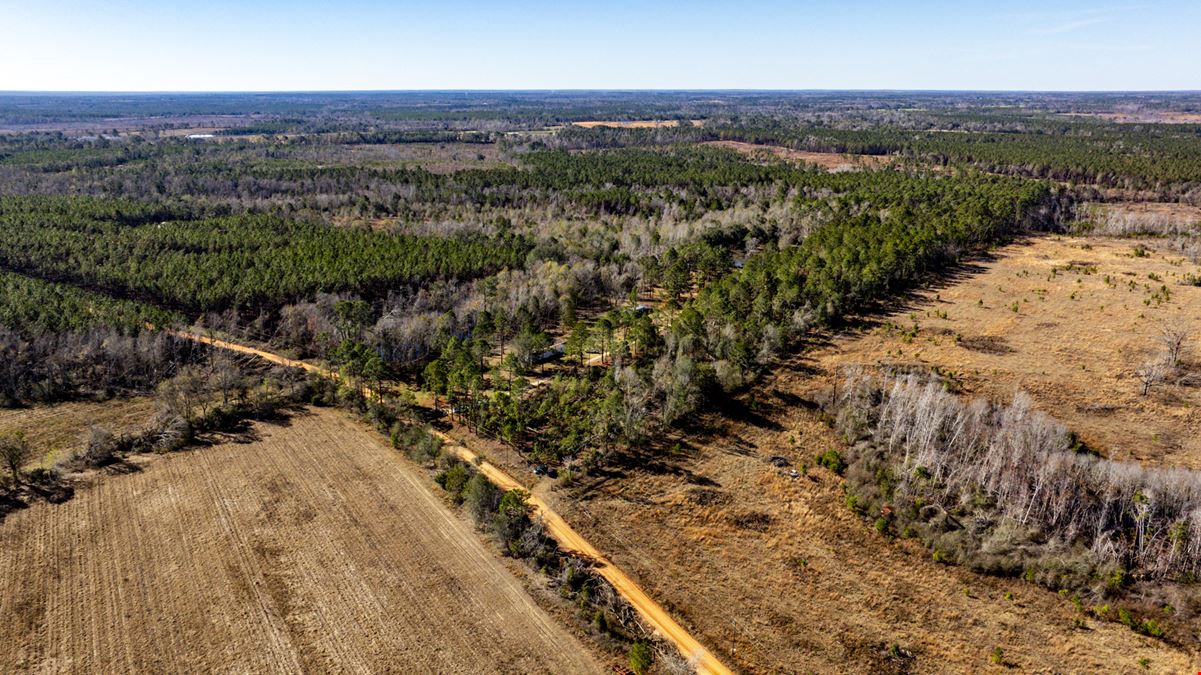 Toombs County 22 ± Acres