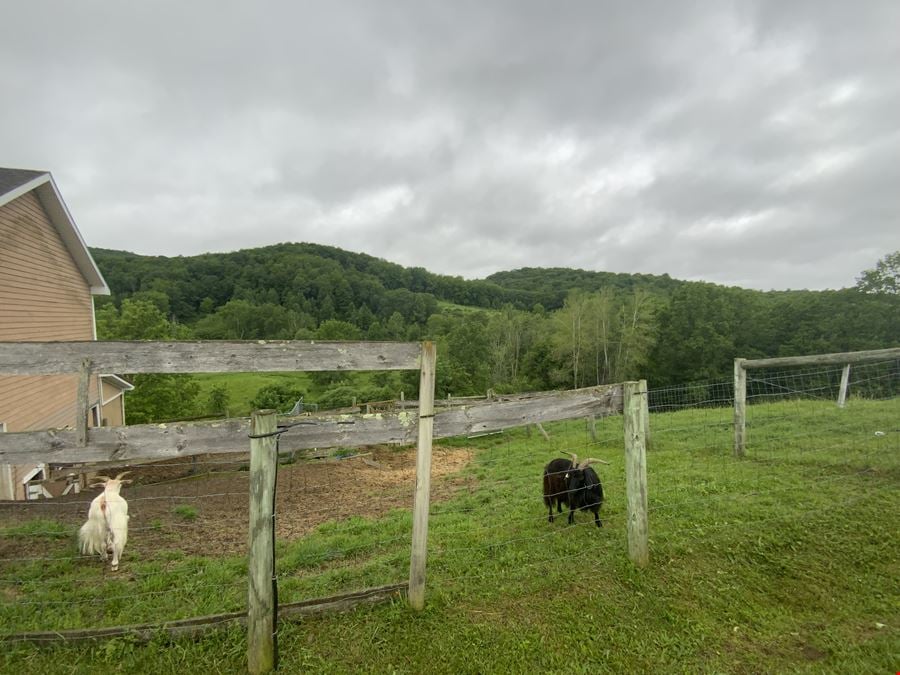 242 Cloister Way Greenwich NY 12834