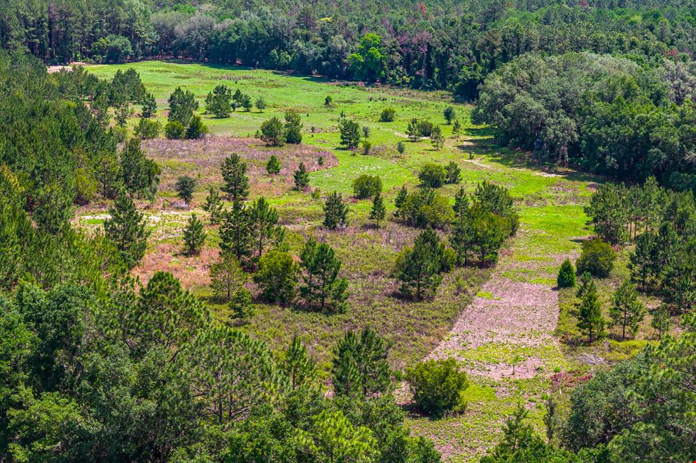 East Alachua County 35 Acre Recreation Tract