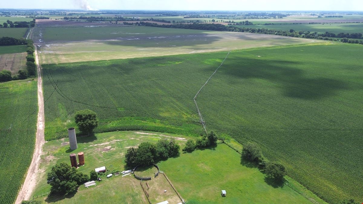 Wilson Farm
