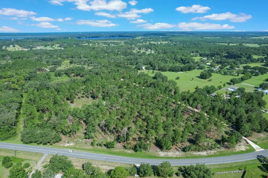 C.R. 439 - 20 Acres
