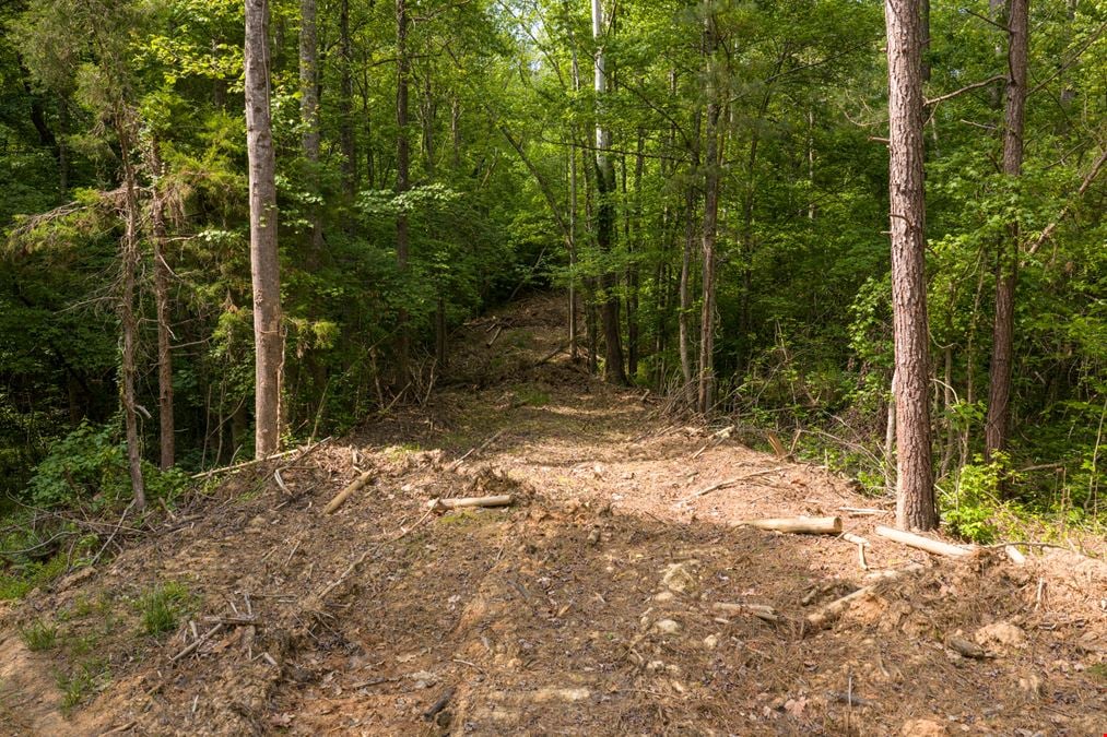 Goochland Land